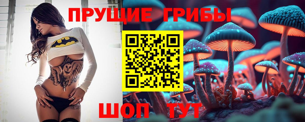 Вичуга  Псилоцибиновые грибы мицелий  Вход с VPN 